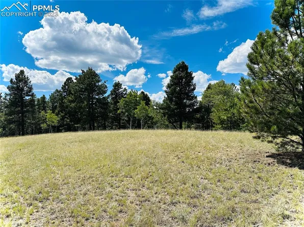 512 County Rd, Divide, CO 80814