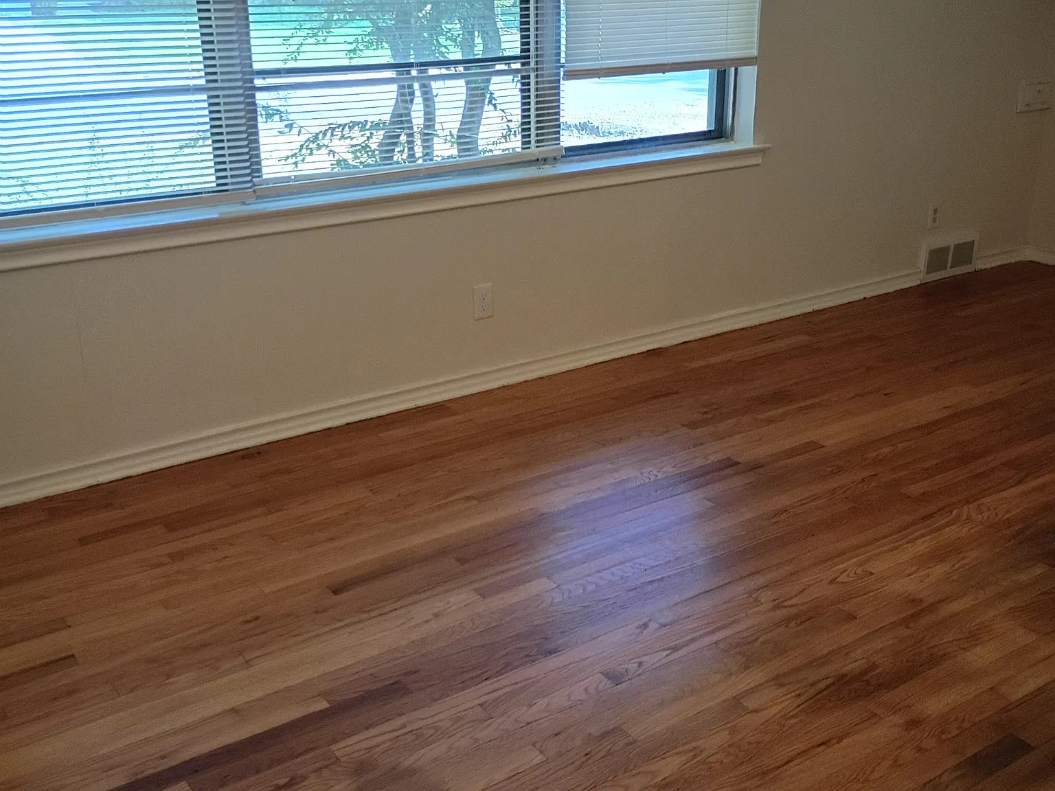 3 bed, 1581 sqft, $2,325 — Photo 2