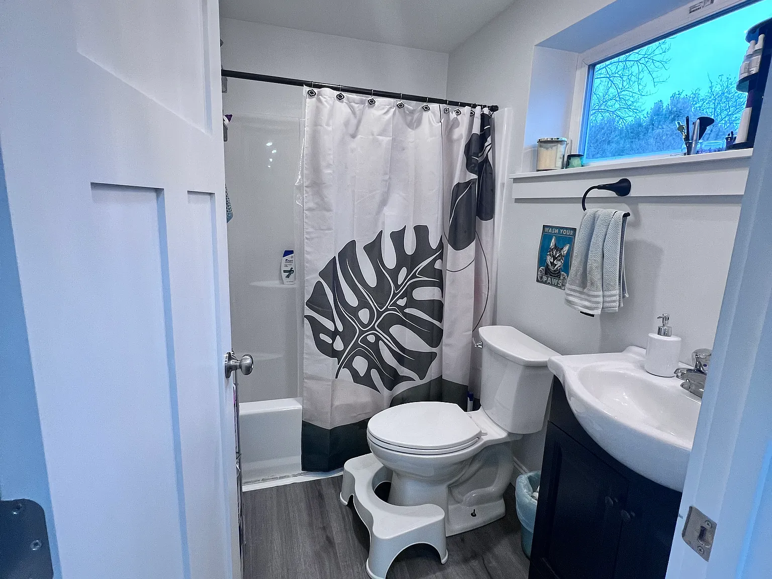 2 bed, 800 sqft, $1,950 — Photo 3