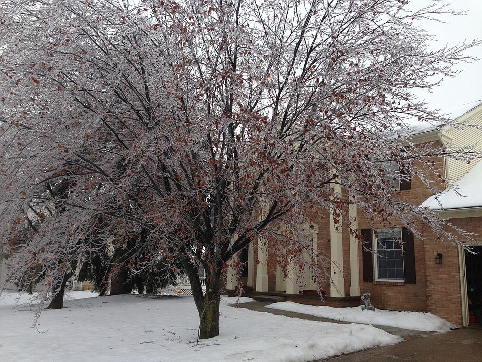 1st image of 3918 Cloverdale Ave