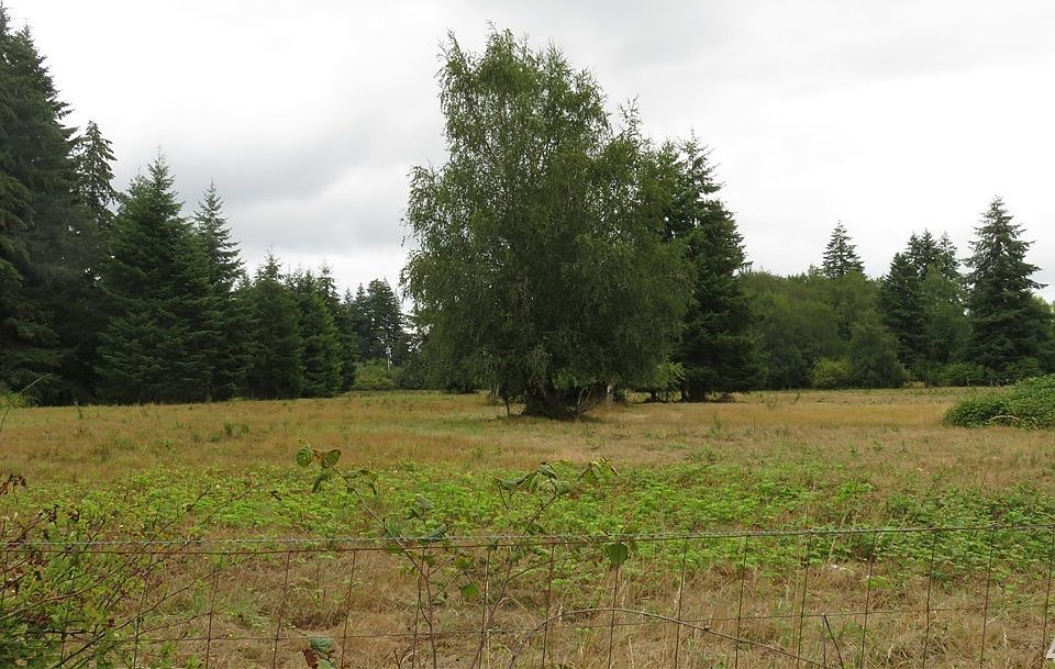 2nd image of 28 Hurd Rd