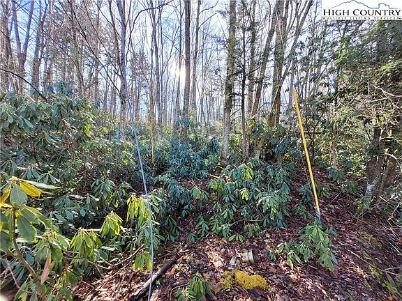 2nd image of 141 Wild Daisy Ln + .96 ac tract