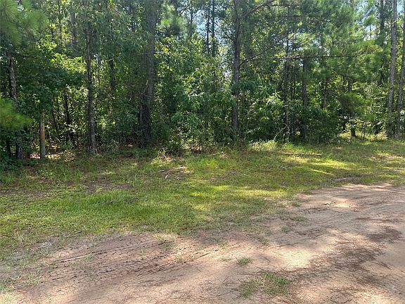 3rd image of 241812 County Road 121