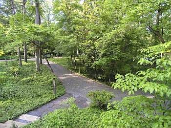 3rd image of 301 Burlage Cir