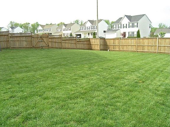 Huge Lush green back yard