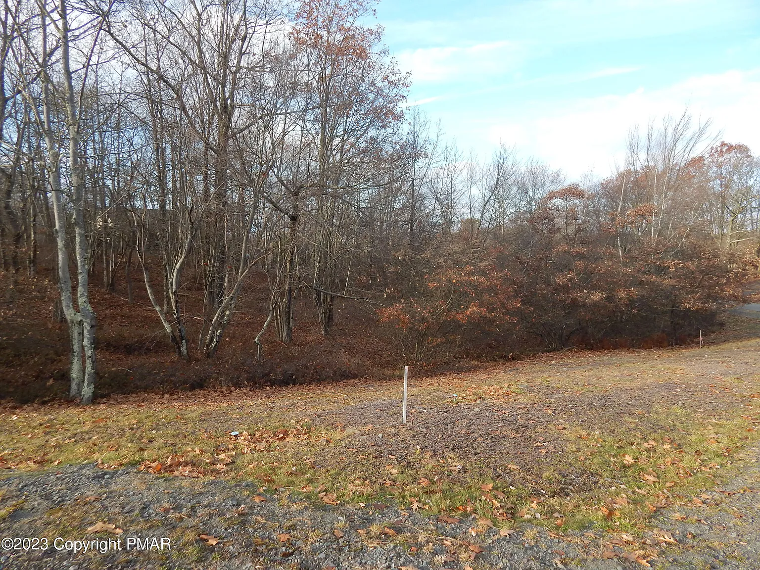 56 Nn photo 1