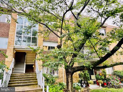 8003 Chanute Pl UNIT 15/10, Falls Church, VA, 22042