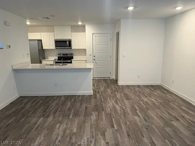 920 Rosy Starling St — Photo 2
