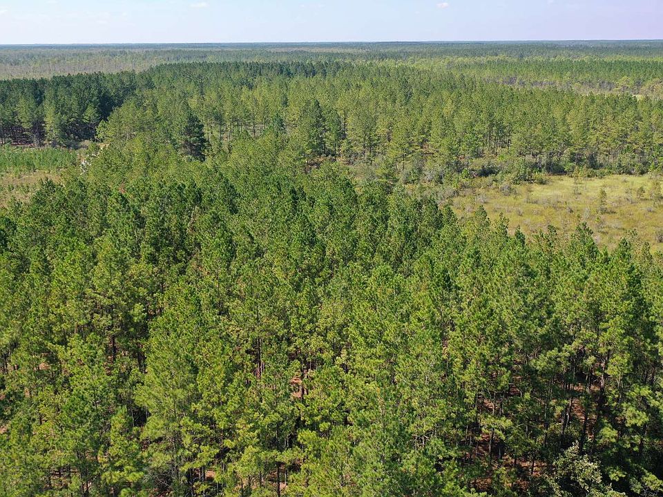 2nd image of 0 Buck Griffin Rd