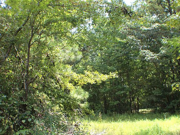 4th image of 0 Old Wolf Creek Rd #0