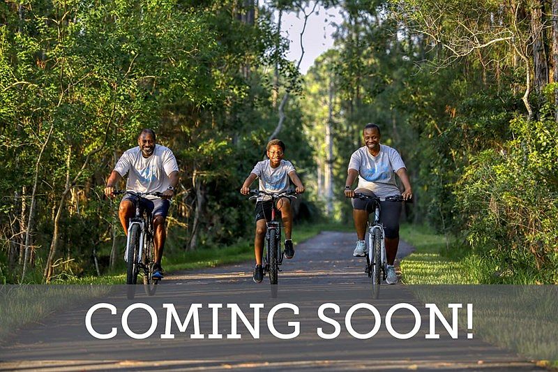 Westerly Park at Wildlight - Coming Soon
