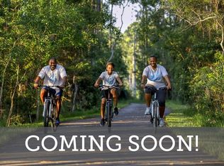 Homes Available Soon, Westerly Park at Wildlight - Courtyard Collection, Yulee, FL 32097