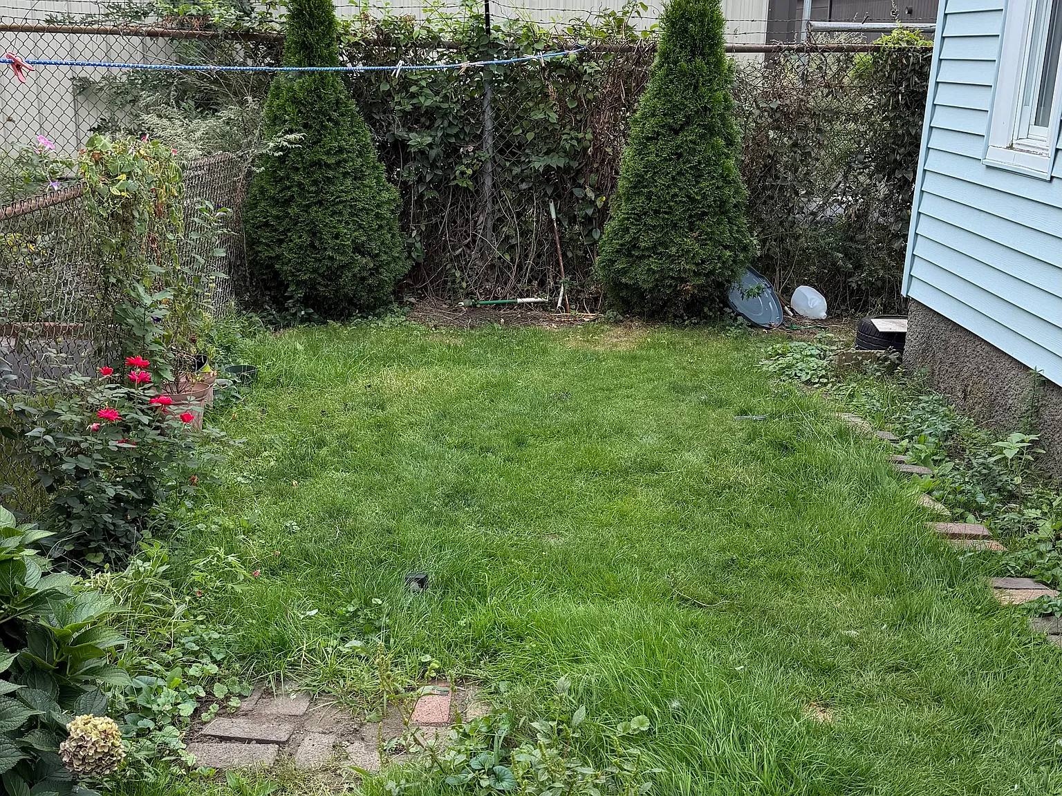 3 bed, 1126 sqft, $2,800 — Photo 3