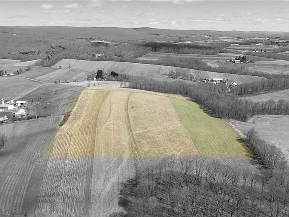 3rd image of 0 Shady Hollow Ln