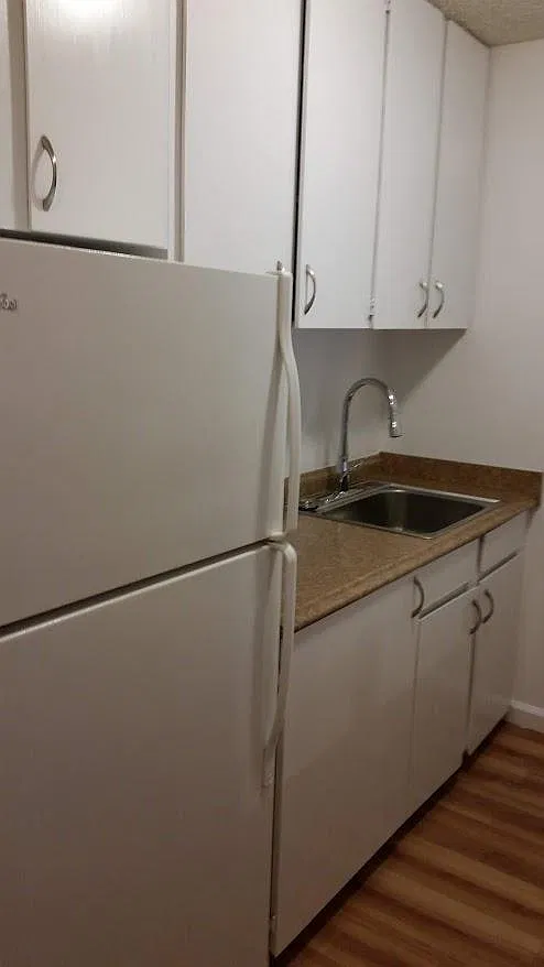 1 bed, 523 sqft, $2,100 — Photo 4