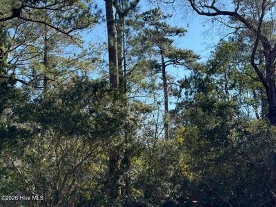 0 Gregory Fork Road, Richlands, NC, 28574