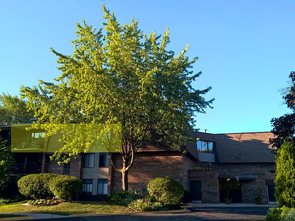 2nd image of 907 S Williams St APT 309