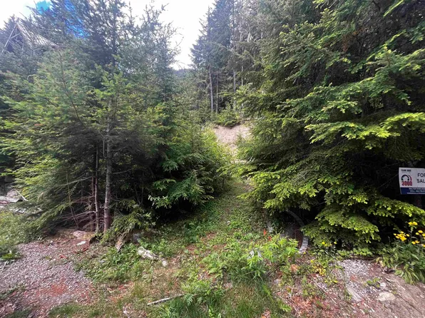 14953 Parkwood St, Fraser Valley, BC V0X 1L5