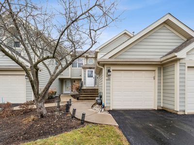 159 W Hamilton Dr, Palatine, IL, 60067