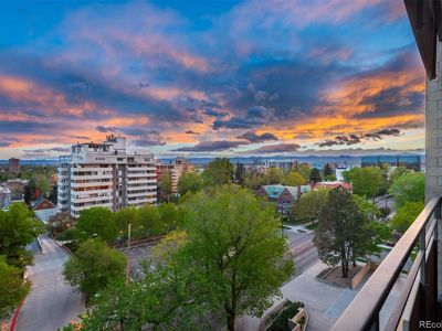 800 N Pearl Street #707, Denver, CO, 80203