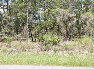 0 Labrador Duck Rd, Brooksville, FL 34614