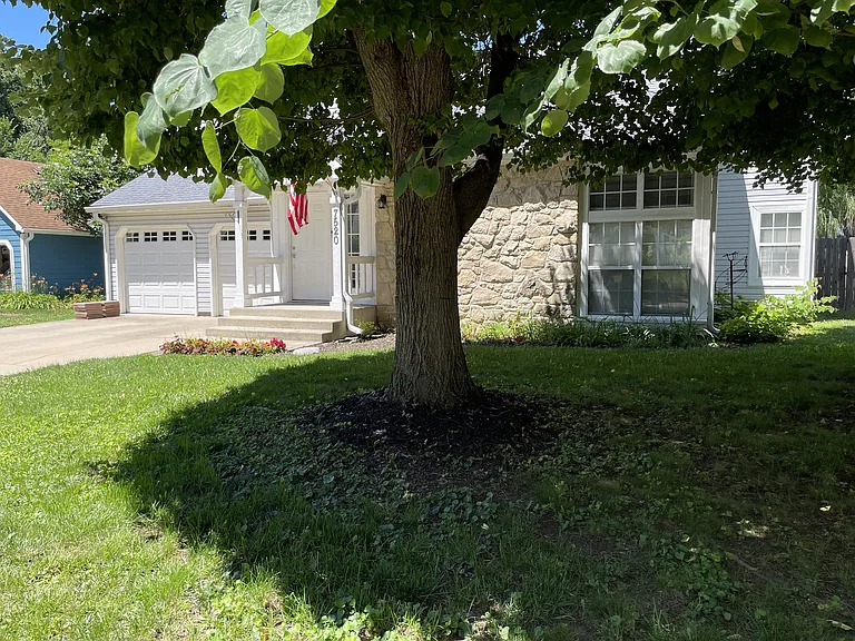 7520 Liquori Ct — Photo 9