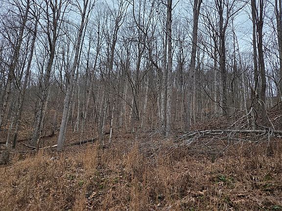 2nd image of 0 Evans Hollow Rd