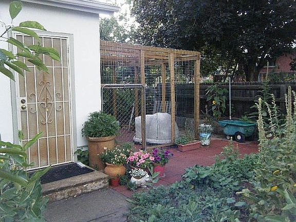 Back & pet enclosure