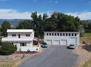 16754 Bull Mesa Rd, Cedaredge, CO 81413