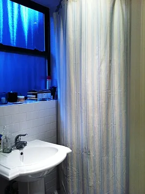 Rented by Citi Habitats | media 17