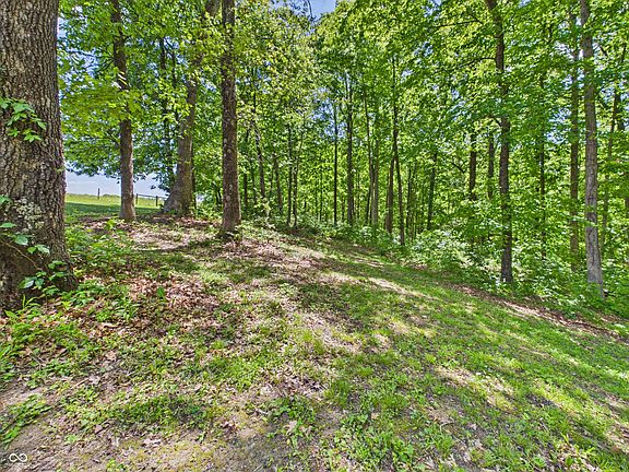 4th image of 8052 E Ash Rd