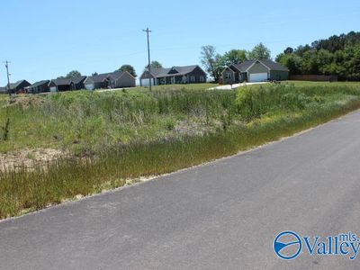 12 Peaceful Dr, Rainsville, AL, 35986
