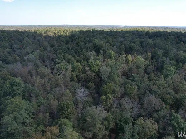 214 Wayne Rte E #503-B, Lowndes, MO 63951