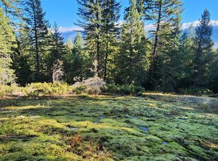 30225 Chintzy Ln, Bigfork, MT 59911