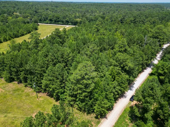 1101 Buffalo Lick Rd, Union Point, GA 30669