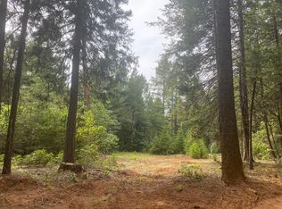 8180 Wild Horse Trl, Georgetown, CA 95634