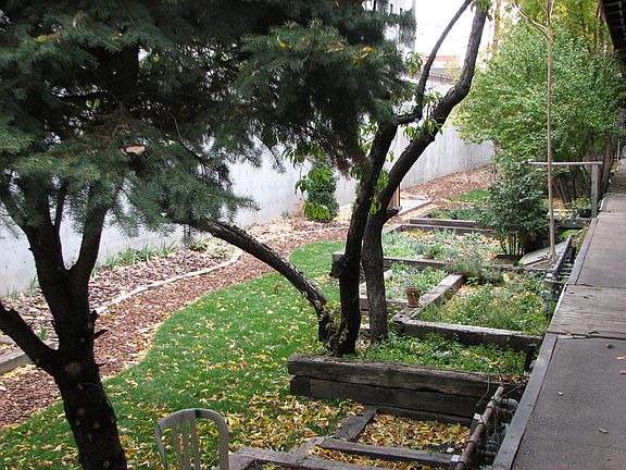 Victory Gardens