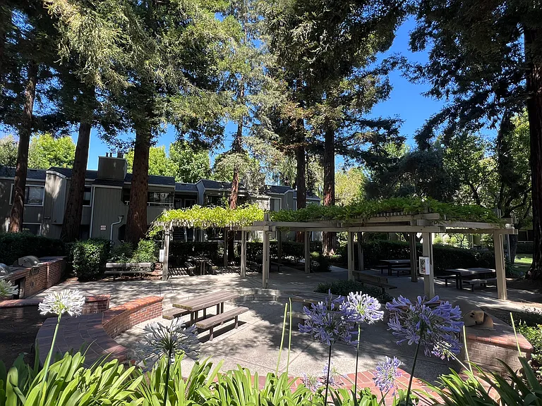 Picnic area with BBQ grills