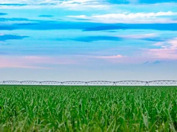 0 Road Wa East S #G, Sharon Springs, KS 67758