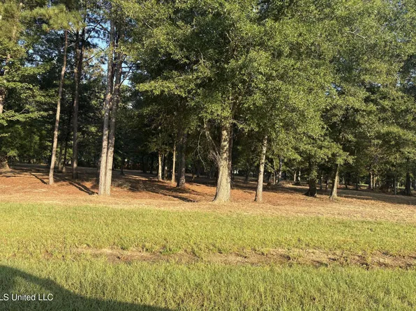 0 Shire Ave Lot 7, Forest, MS 39074