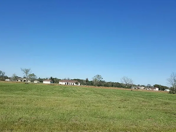 614 Cross Timbers Dr, Rosharon, TX 77583