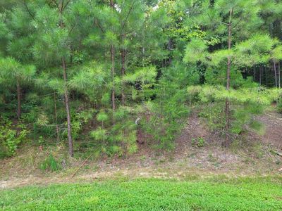 2016 Starterwood Ln UNIT 32, Hillsborough, NC, 27278