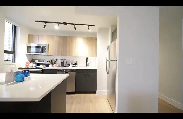 1009 N Rush St — Photo 8