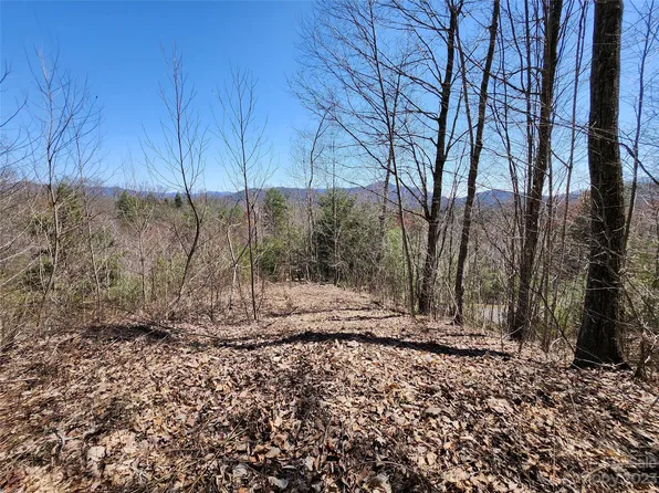 435 Pine Cone Trl, Marshall, NC 28753