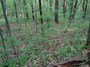 Reece Hollow Rd, Del rio, TN 37727