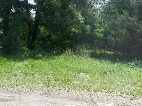 10695 MCLAURIN Road E, Jacksonville, FL 32256