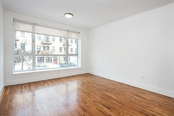 Rented by Bold Marketing | media 1