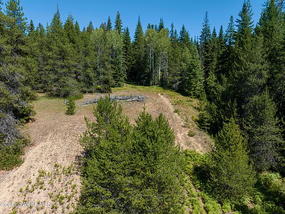3rd image of Lamb Creek Rd