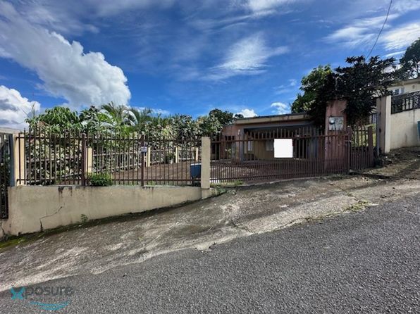 185 Camino Jesus Rodriguez Bo Cedros LOT 6, Carolina, PR 00987