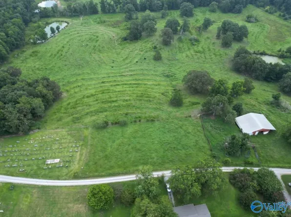 County Road 1456, Vinemont, AL 35179